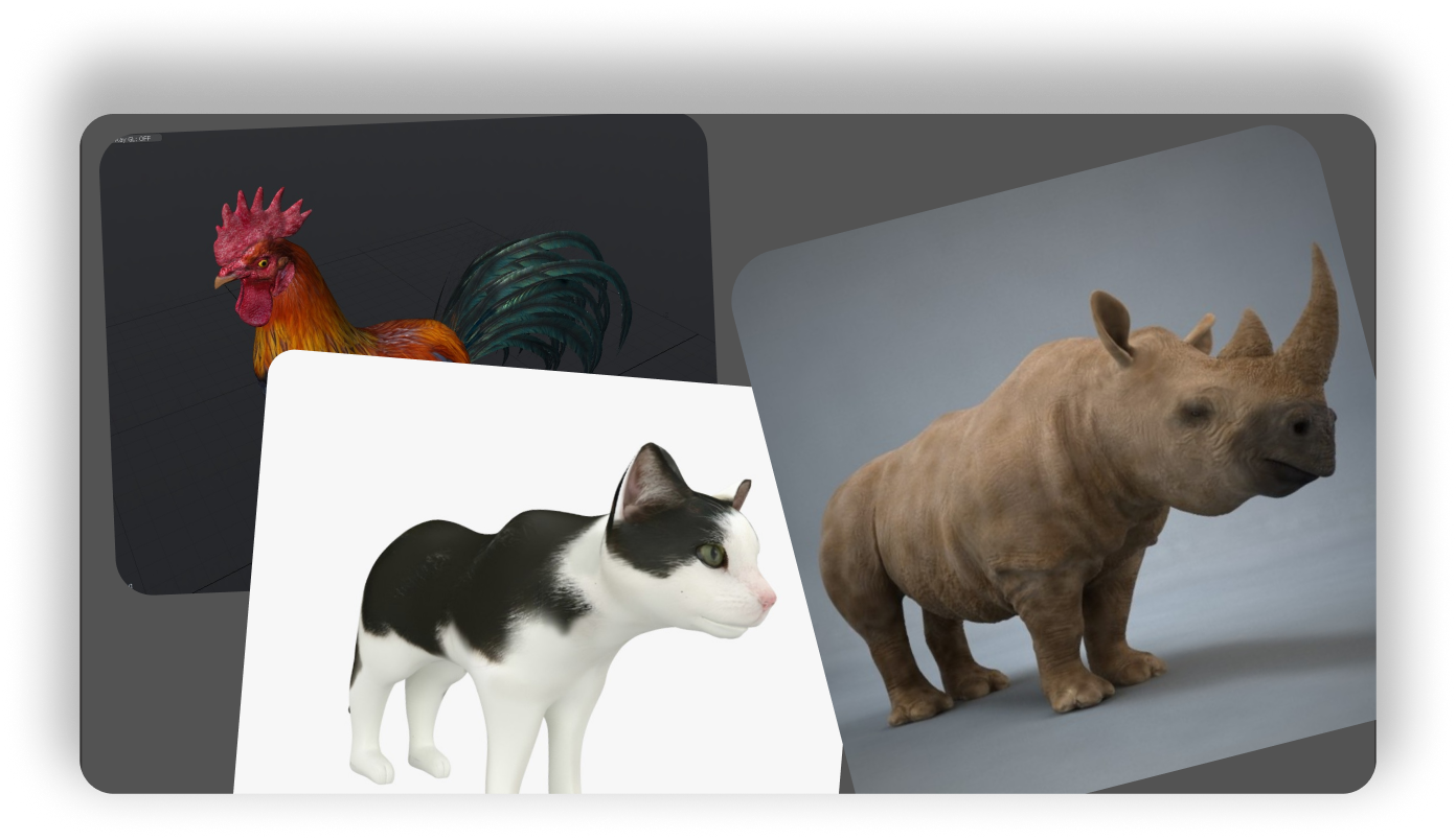 High-quality 3D animal models featuring a detailed rooster with vibrant feathers, a stylized black-and-white cat with smooth shading, and a realistic rhinoceros with textured skin. Displayed in a portfolio-style layout for character and creature modeling.